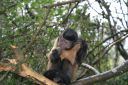 DSC02110.JPG