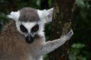 DSC02116.JPG