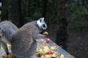 DSC02120.JPG