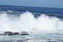 DSC02139.JPG