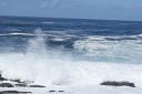 DSC02147.JPG
