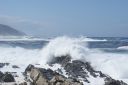 DSC02162.JPG
