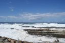 DSC02164.JPG