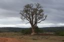 DSC02254.JPG