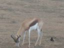 SDC11045.JPG