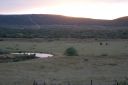 DSC02368.JPG