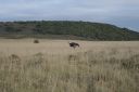 DSC02384.JPG
