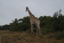 DSC02578.JPG