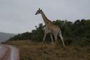 DSC02579.JPG