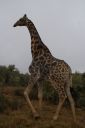 DSC02598.JPG
