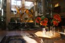 DSC00677.JPG