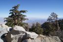 DSC00700.JPG