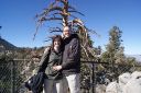 DSC00704.JPG