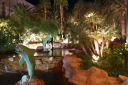 DSC00860.JPG