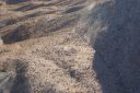 DSC00910.JPG