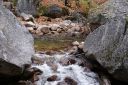 DSC01217.JPG