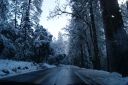 DSC01296.JPG