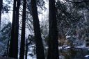 DSC01297.JPG