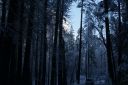 DSC01301.JPG