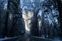 DSC01304.JPG