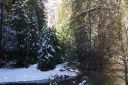 DSC01346.JPG