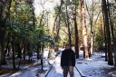DSC01357.JPG