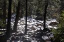 DSC01361.JPG