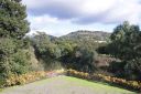 DSC01437.JPG