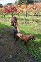DSC01498.JPG
