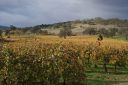 DSC01516.JPG