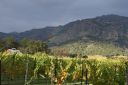 DSC01523.JPG