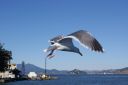 DSC01653.JPG