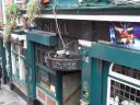 SDC10346.JPG