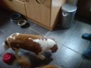 Filename=DSC00352.JPG
Filesize=571KiB
Dimensions=933x700
Date added=Jun 15, 2024 DSC00352.JPG