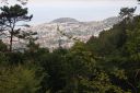 DSC02244.JPG