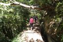 DSC02290.JPG