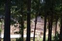 DSC02306.JPG