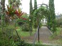 DSC02369.jpg