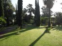 DSC02394.jpg