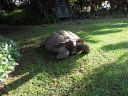 DSC02395.jpg