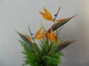 DSC02414.jpg