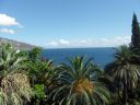 DSC02436.jpg
