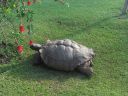 DSC02442.jpg