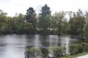 DSC02500.JPG