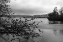 DSC02501.JPG