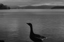 DSC02510.JPG