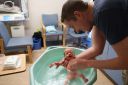 DSC02906.JPG