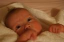 DSC03502.JPG