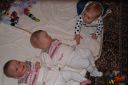 DSC03695.JPG