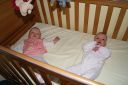 DSC03766.JPG